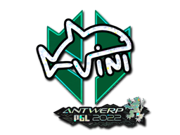 CS2 VINI
