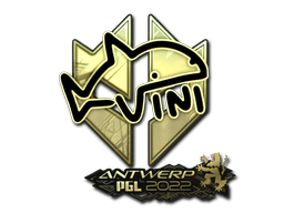 CS2 VINI