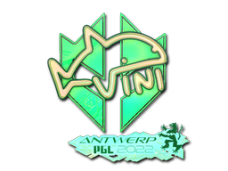 CS2 VINI