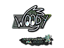 CS2 WOOD7