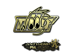 CS2 WOOD7