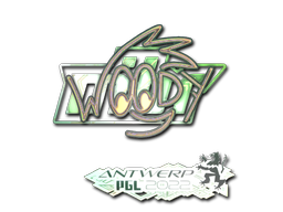 CS2 WOOD7