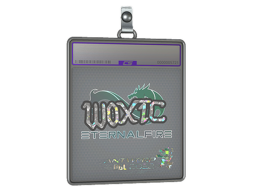 woxic - CS2 Sticker