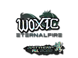 CS2 woxic
