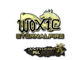 CS2 woxic