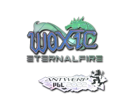 CS2 woxic