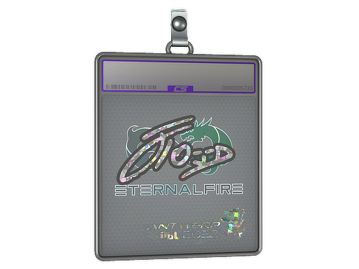 xfl0ud - CS2 Sticker
