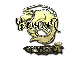 CS2 YEKINDAR