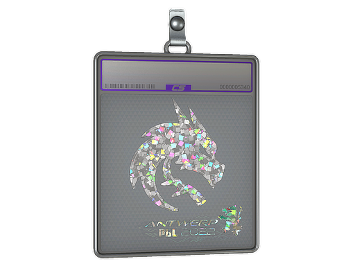 Team Spirit - CS2 Sticker