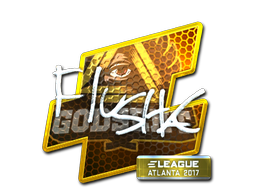 CS2 flusha