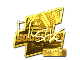 CS2 flusha