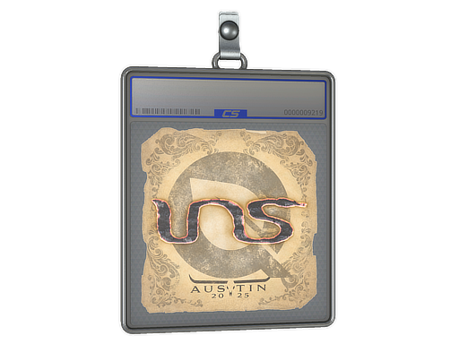 ins - CS2 Sticker