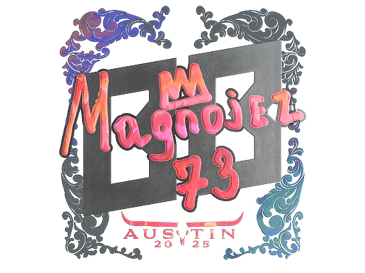 CS2 Magnojez