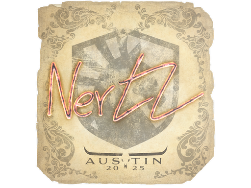 CS2 NertZ