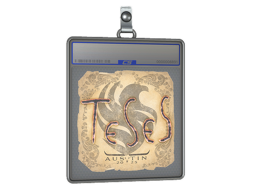 TeSeS - CS2 Sticker