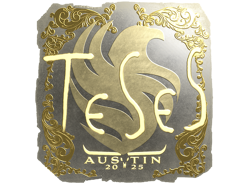CS2 TeSeS
