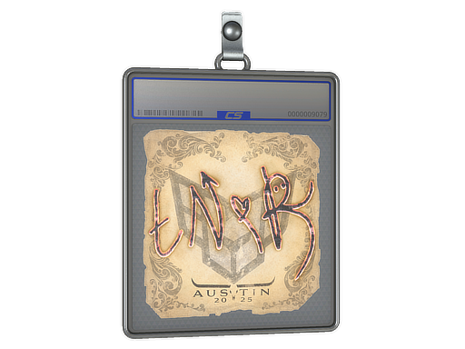 tN1R - CS2 Sticker