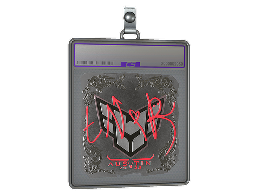 tN1R - CS2 Sticker