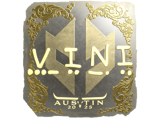 CS2 VINI