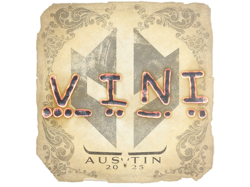 CS2 VINI