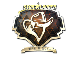 CS2  Renegades 