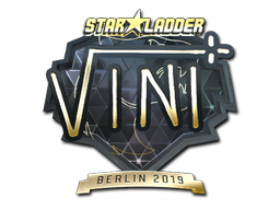 CS2 VINI