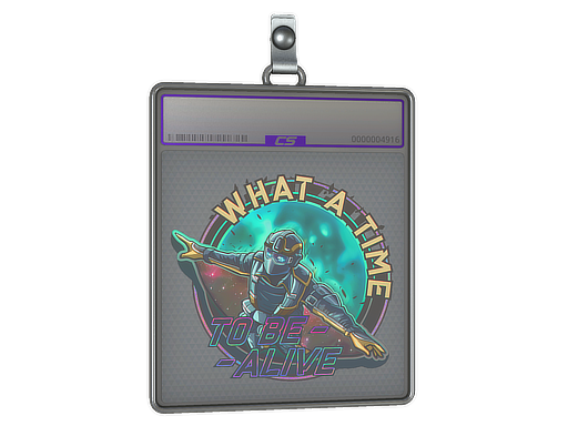 Sticker Slab | Wingsuit