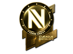 CS2  Team EnVyUs 