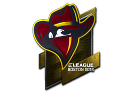 CS2  Renegades 