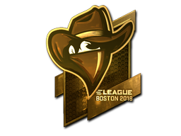 CS2  Renegades 