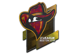 CS2  Renegades 