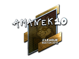 CS2 AmaNEk