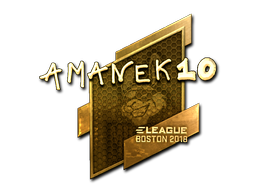 CS2 AmaNEk