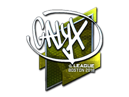 CS2 Calyx