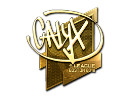 CS2 Calyx