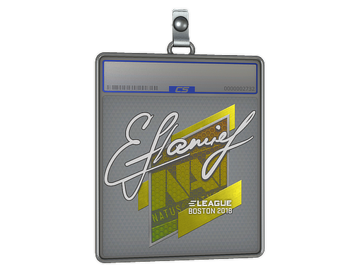 flamie - CS2 Sticker
