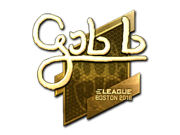 CS2 gob b