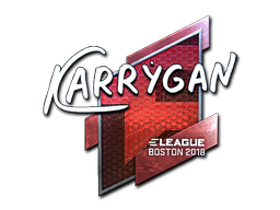 CS2 karrigan