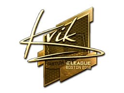 CS2 Kvik