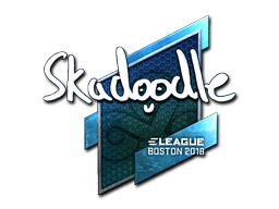 CS2 Skadoodle