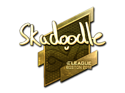 CS2 Skadoodle