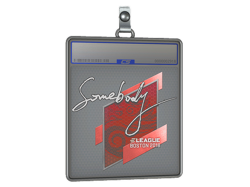 somebody - CS2 Sticker