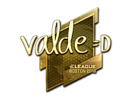 CS2 v4lde