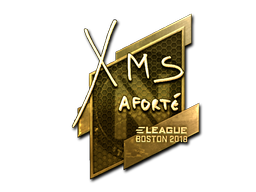 CS2 xms