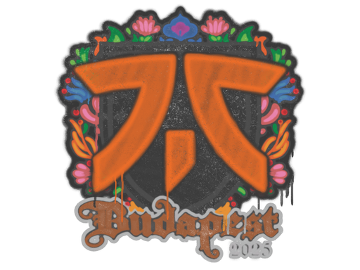 Sealed Graffiti | fnatic | Budapest 2025