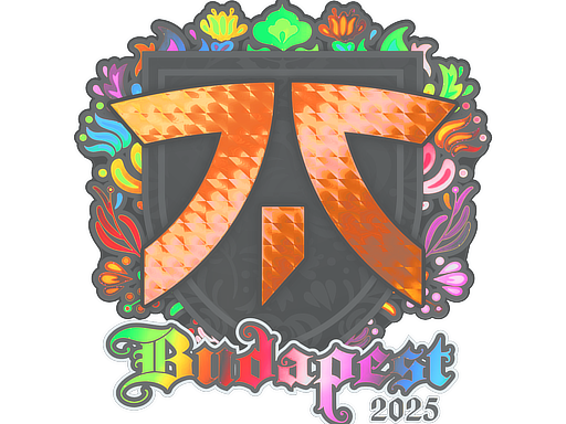 Sticker | fnatic | Budapest 2025 | Holo