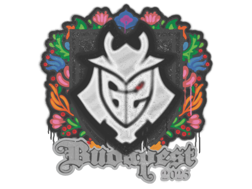 Sealed Graffiti | G2 esports | Budapest 2025