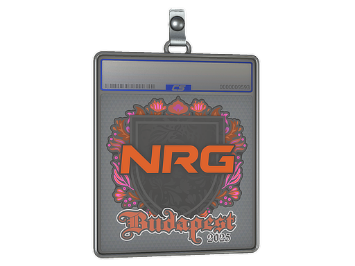 NRG - CS2 Sticker