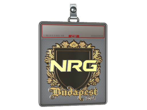 Sticker Slab | NRG | Budapest 2025