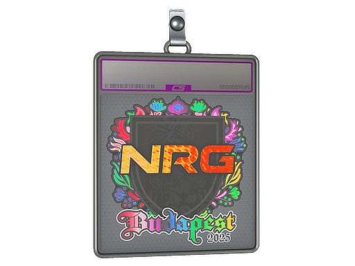 NRG - CS2 Sticker